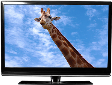Qual é a diferença entre TV LED e TV LCD
